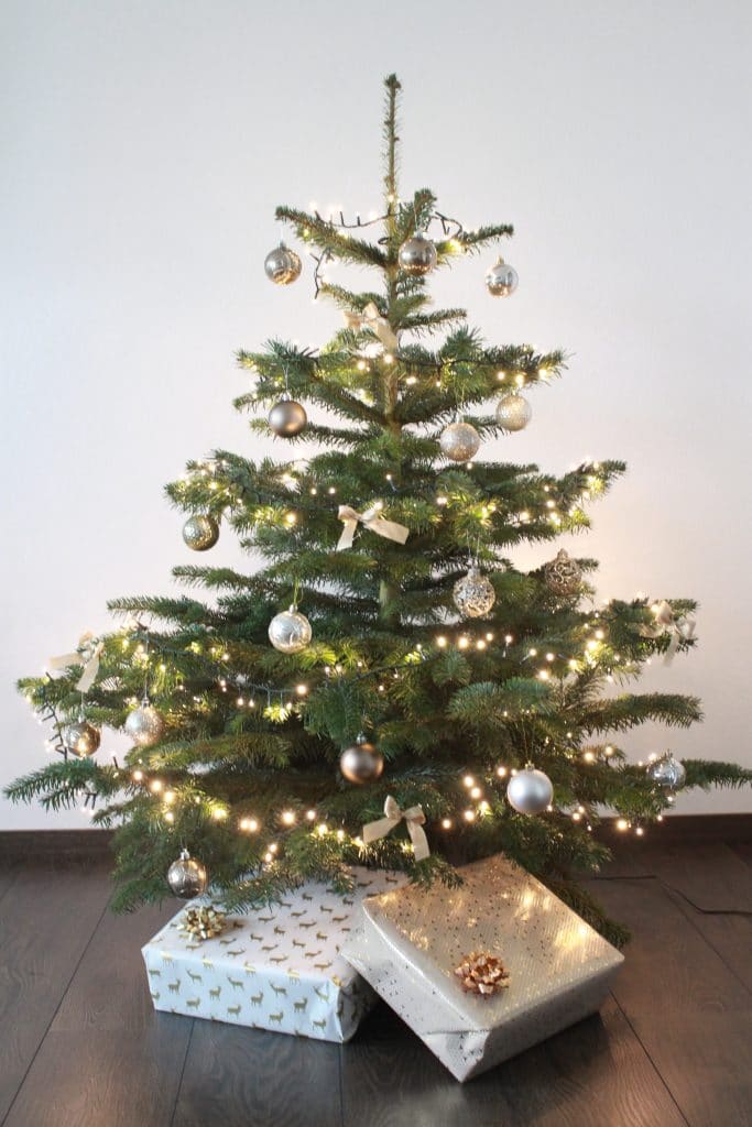 Gewinnerin des Gewinnspiels sowie das Kinderheim St. Vinzenz Landshut erhalten geschmückten Tannenbaum