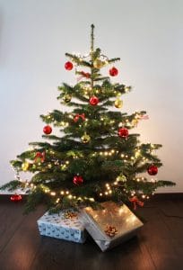 IMG 2432 Traditionelle Web Weihnachtsbaum