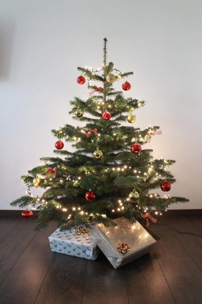 Wir verlosen wieder einen dekorierten Weihnachtsbaum von GESCHMÜCKTE-TANNE.DE